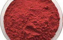 L-Carnitina